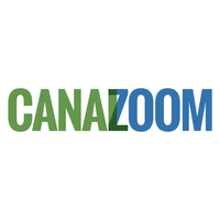Canal Zoom : dispositif électoral