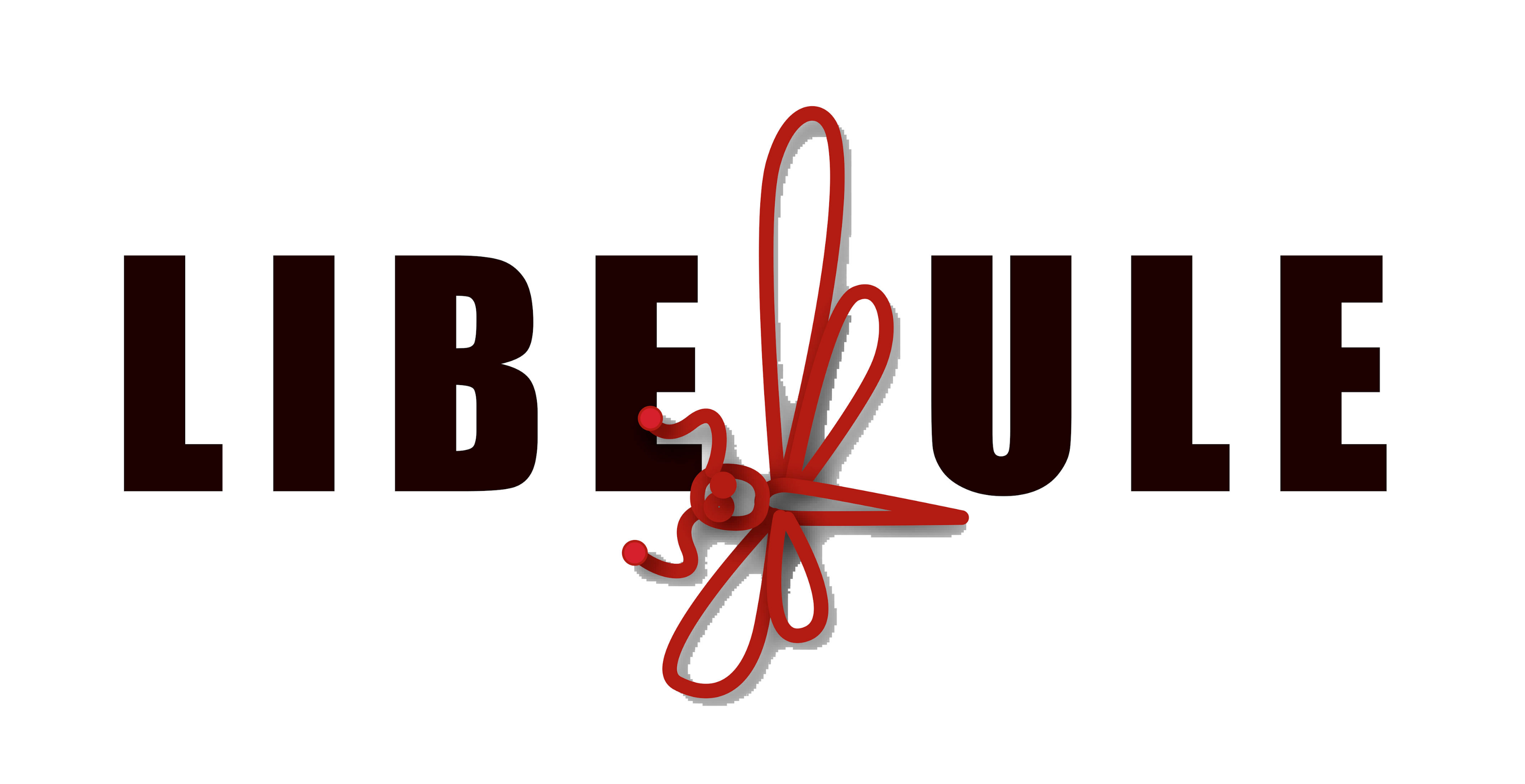 logo Radio Libellule FM