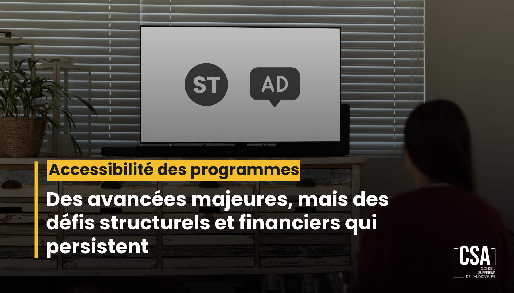 Image de l'article Accessibilité des programmes : des avancées majeures mais des défis structurels et financiers qui persistent
