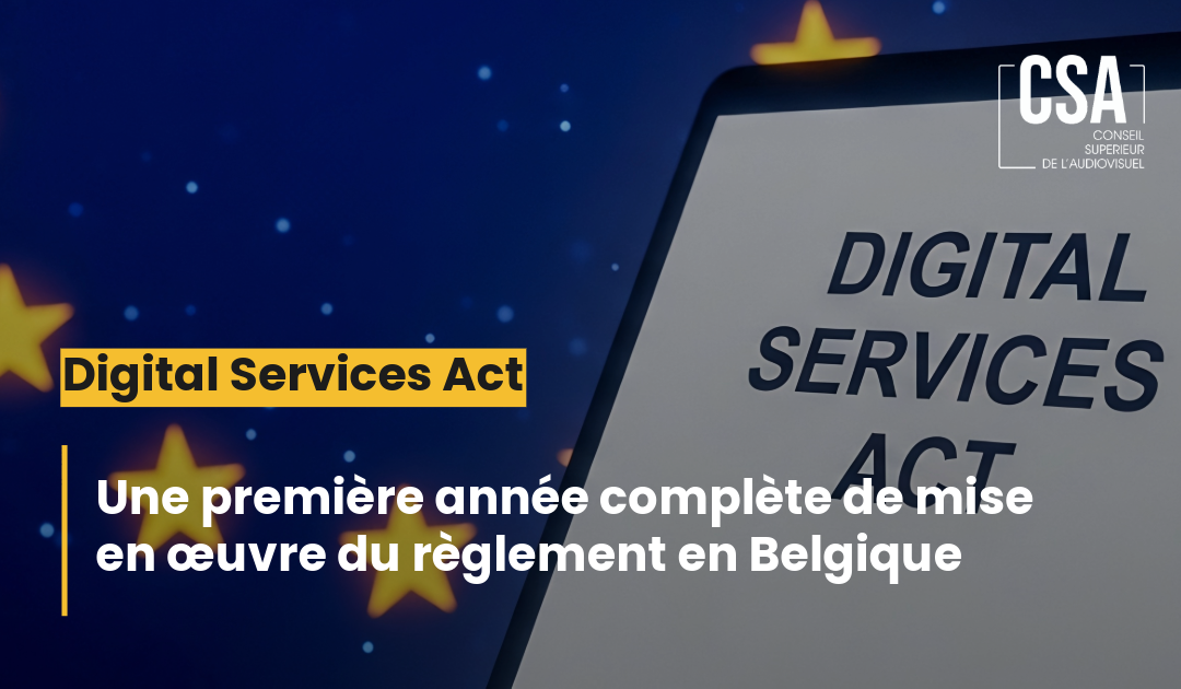 DSA : rapport annuel 2025